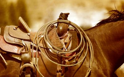 Back In The Saddle Again