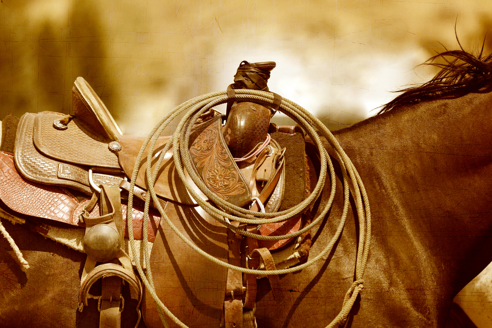 Back In The Saddle Again