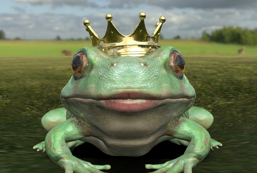 Bad Hires, Prince Charming and Frogs