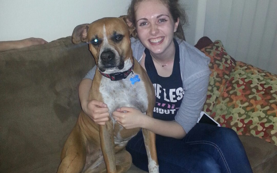 Want to Hire Better?  Foster Dogs.