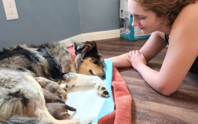 The Secret to Retention #4: Puppies!