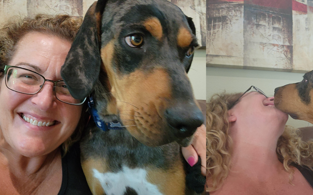 Walking Out to the End of the Leash