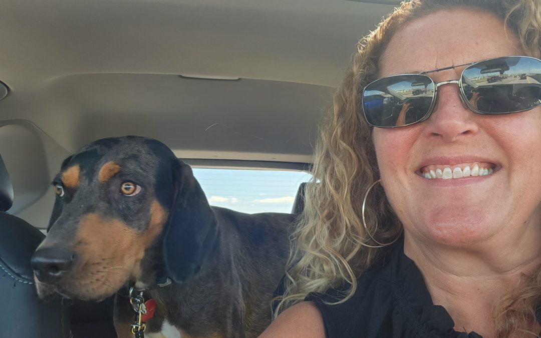 Spider Webs and Mistakes