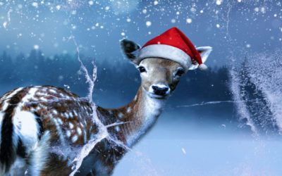 Rudolph the Brown-Nosed Reindeer